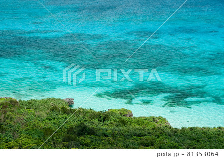 Impressive top view of a crystalline turquoise sea, coastal vegetation. Miyako island. 81353064