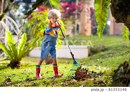 Child and rake in autumn garden. Kid raking leaves 81353146