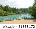 北海道美瑛町の青い池の景色 81353172