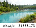 北海道美瑛町の青い池の景色 81353173