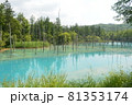 北海道美瑛町の青い池の景色 81353174