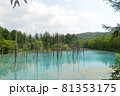 北海道美瑛町の青い池の景色 81353175