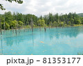 北海道美瑛町の青い池の景色 81353177