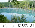 北海道美瑛町の青い池の景色 81353181