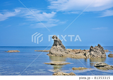 【ゴジラ岩】 石川県珠洲市馬緤町 81353315