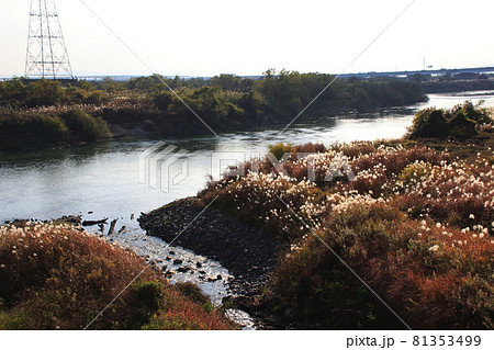 宇治川:三栖閘門合流付近 宇治川:三栖閘門合流付近 81353499