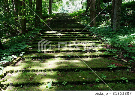 初夏の遠野遺産　白石稲荷神社と稲荷穴 81353807