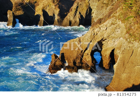 伊豆の景勝地　堂ヶ島 81354275