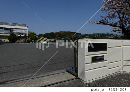横浜国立大学附属鎌倉小中学校 81354293