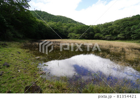 群馬県　赤城山　関東ふれあいの道　小沼からのツツジの道の途中にある血の池　 81354421