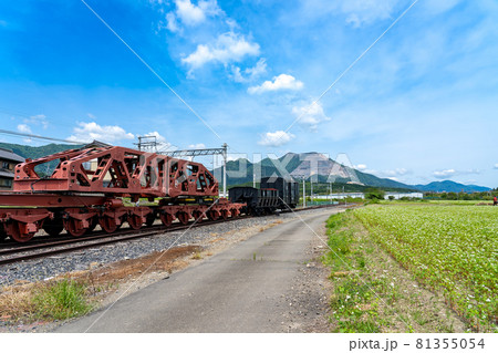 三重県いなべ市大安町の貨物鉄道博物館と春そば畑の道 三重県いなべ市大安町の貨物鉄道博物館と春そば畑の道 81355054