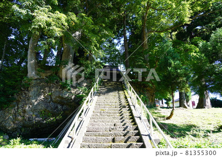 杉野沢薬師 杉野沢薬師 81355300