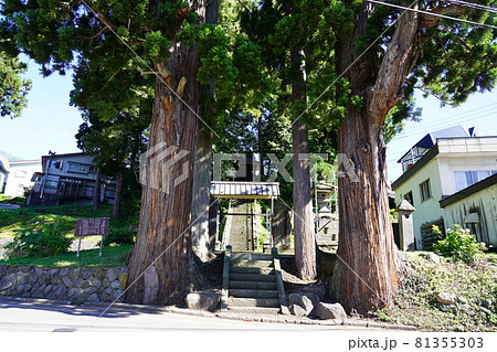 杉野沢薬師 81355303