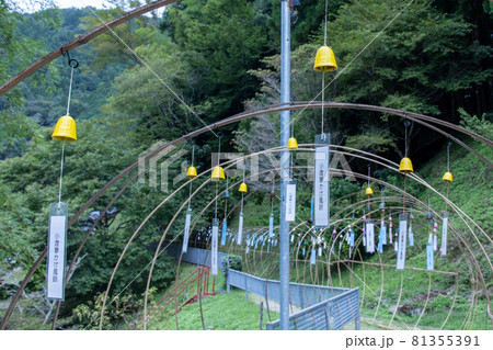 風鈴のトンネル 風鈴のトンネル 81355391