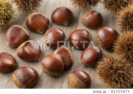 栗　いがぐり 81355875