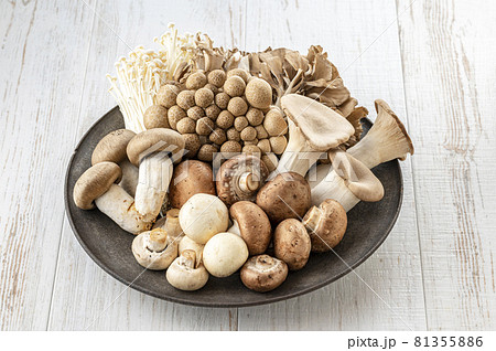 きのこ　きのこの盛り合わせ 81355886