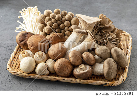 きのこ きのこの盛り合わせ きのこ きのこの盛り合わせ 81355891