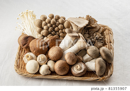 きのこ きのこの盛り合わせ きのこ きのこの盛り合わせ 81355907