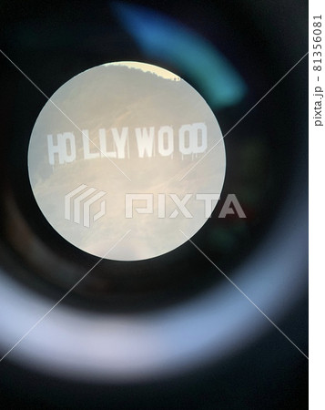 ハリウッド ハリウッド 81356081
