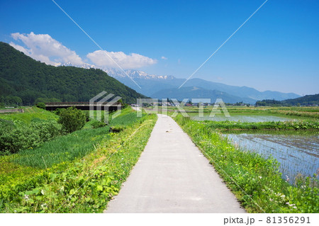 晴天の日の美しい農村の景観 81356291