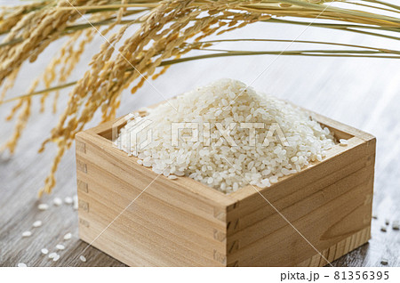 米 新米 白米 米 新米 白米 81356395