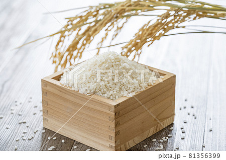 米　新米　白米 81356399