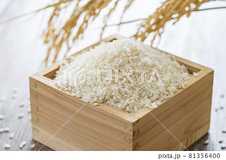 米　新米　白米 81356400