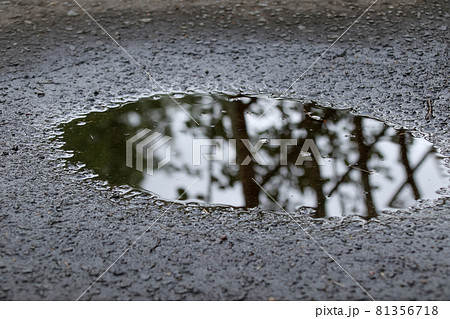 水溜り、雨、反射、雨季、屋外、道、水、水面、自然の写真素材 [81356718] - PIXTA