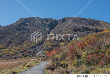 九重連山 坊がつるの秋 九重連山 坊がつるの秋 81357260