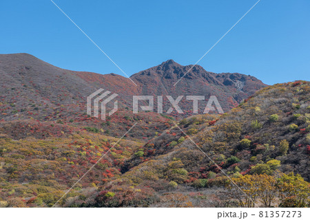 九重連山 坊がつるの秋 九重連山 坊がつるの秋 81357273