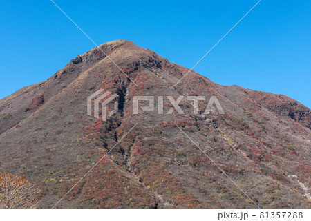 九重連山 坊がつるの秋 九重連山 坊がつるの秋 81357288