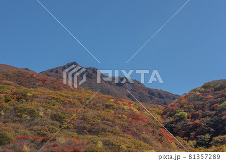 九重連山 坊がつるの秋 九重連山 坊がつるの秋 81357289