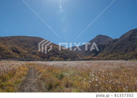 九重連山　坊がつるの秋 81357302