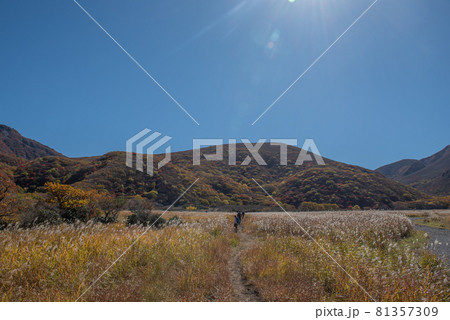 九重連山 坊がつるの秋 九重連山 坊がつるの秋 81357309