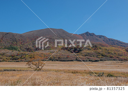 九重連山　坊がつるの秋 81357325
