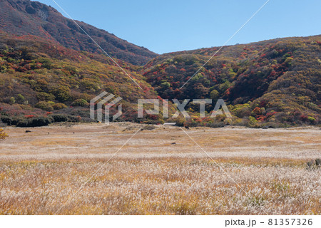 九重連山 坊がつるの秋 九重連山 坊がつるの秋 81357326