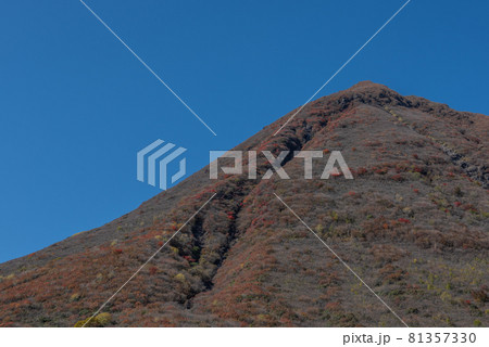 九重連山　坊がつるの秋 81357330