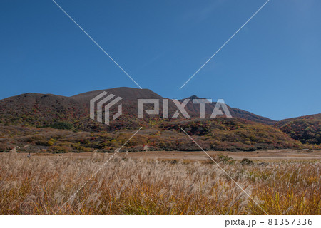 九重連山　坊がつるの秋 81357336