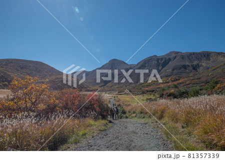 九重連山　坊がつるの秋 81357339