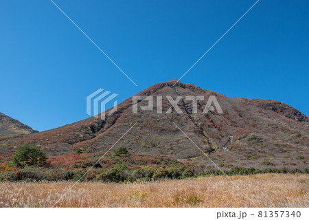 九重連山 坊がつるの秋 九重連山 坊がつるの秋 81357340