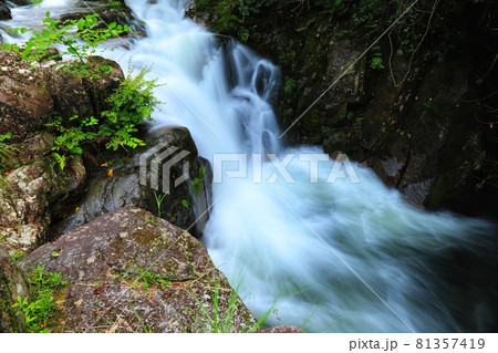 三重県伊賀市高尾の黒渕の滝 81357419