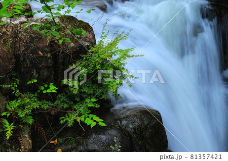 三重県伊賀市高尾の黒渕の滝 81357421