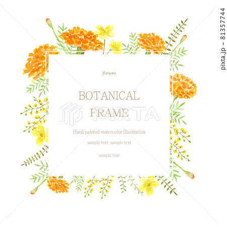 マリーゴールドと黄色い花のフレーム　水彩イラスト 81357744