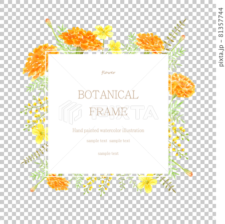 マリーゴールドと黄色い花のフレーム　水彩イラスト 81357744