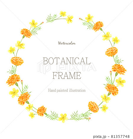 マリーゴールドと黄色い花の円フレーム 水彩イラストのイラスト素材