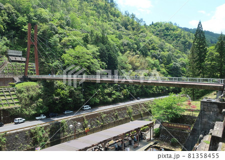 地底王国 美川ムーバレー 81358455