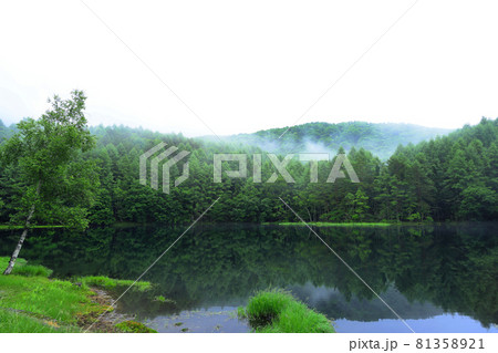 長野 奥蓼科 御射鹿池 長野 奥蓼科 御射鹿池 81358921