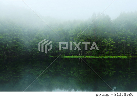 長野　奥蓼科　朝もやの御射鹿池 81358930