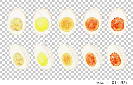水彩画材で描いたゆでたまごのイラストセット 水彩画材で描いたゆでたまごのイラストセット 81359251