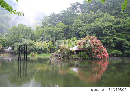 池 ガーデン 庭園 81359305